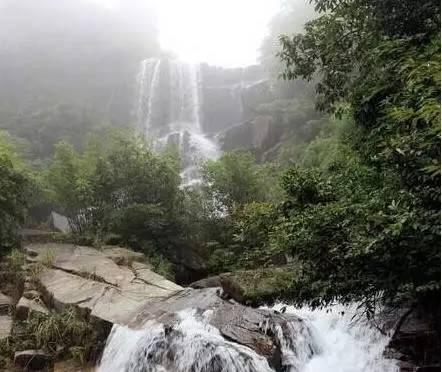 村级经济助力乡村振兴